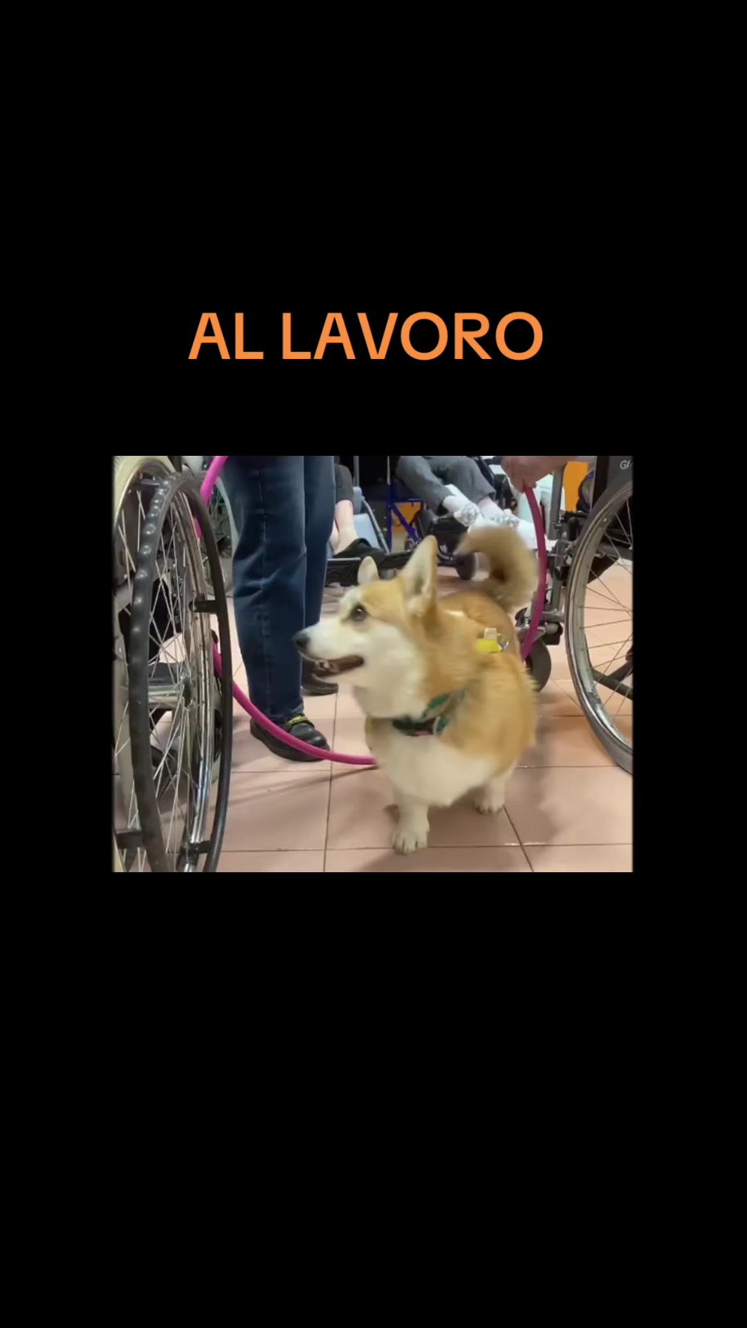 @Nadine Salomoni