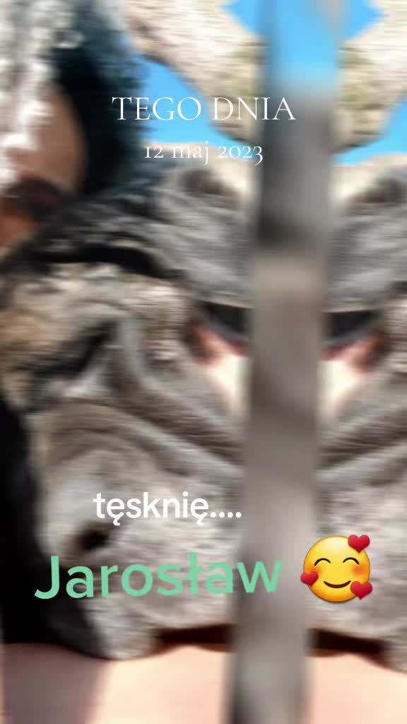 @Animal merwige fci