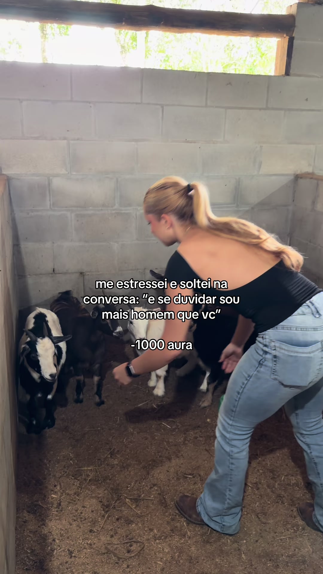@ju