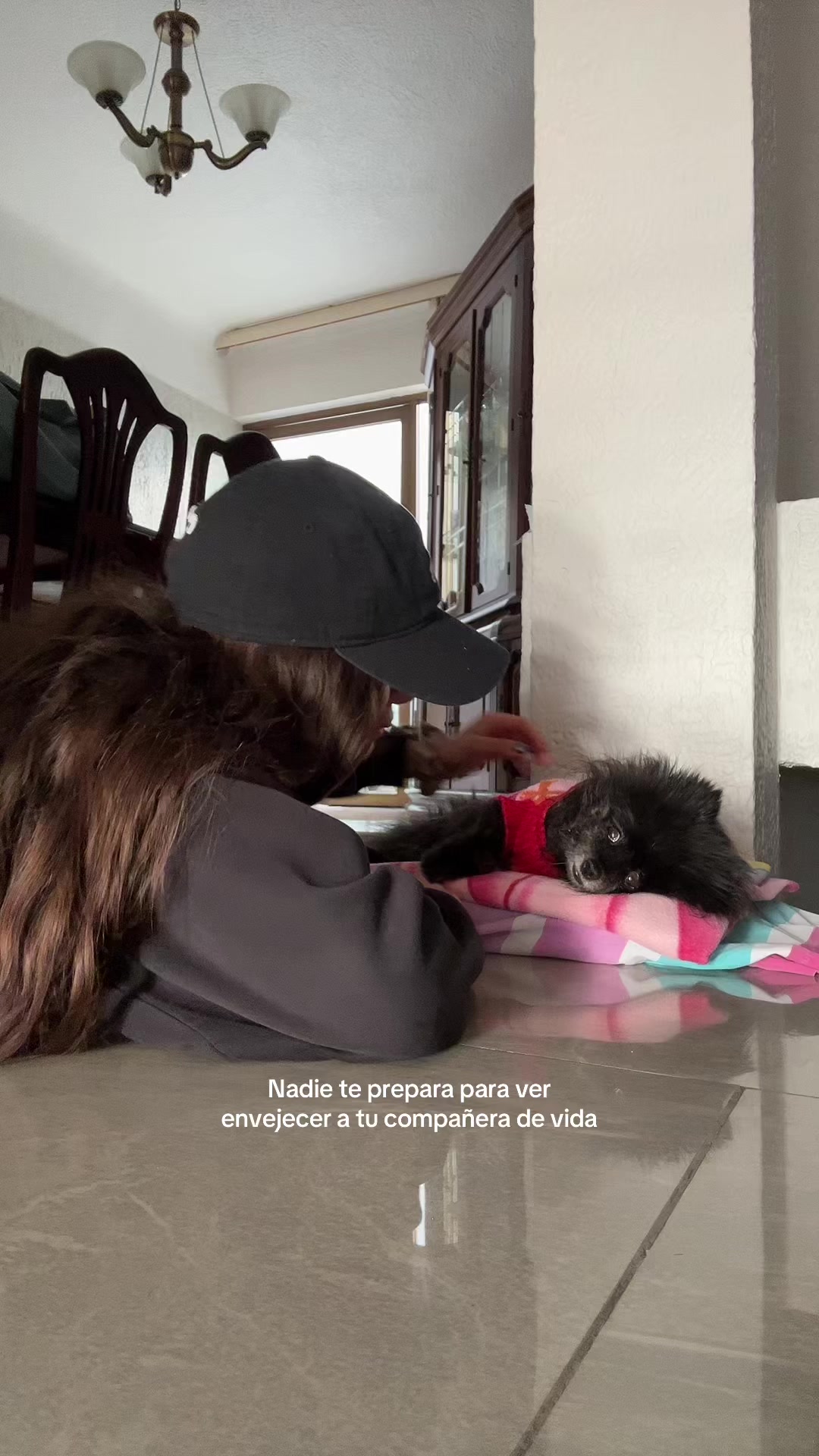 @Dafne Ortega