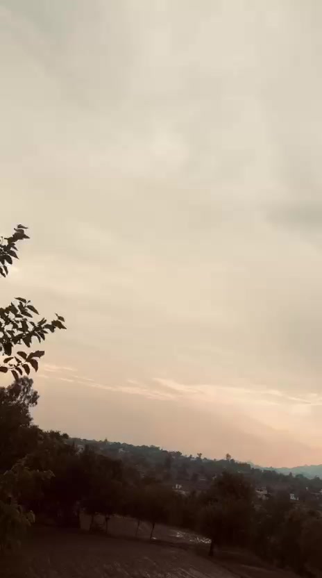 @jameel