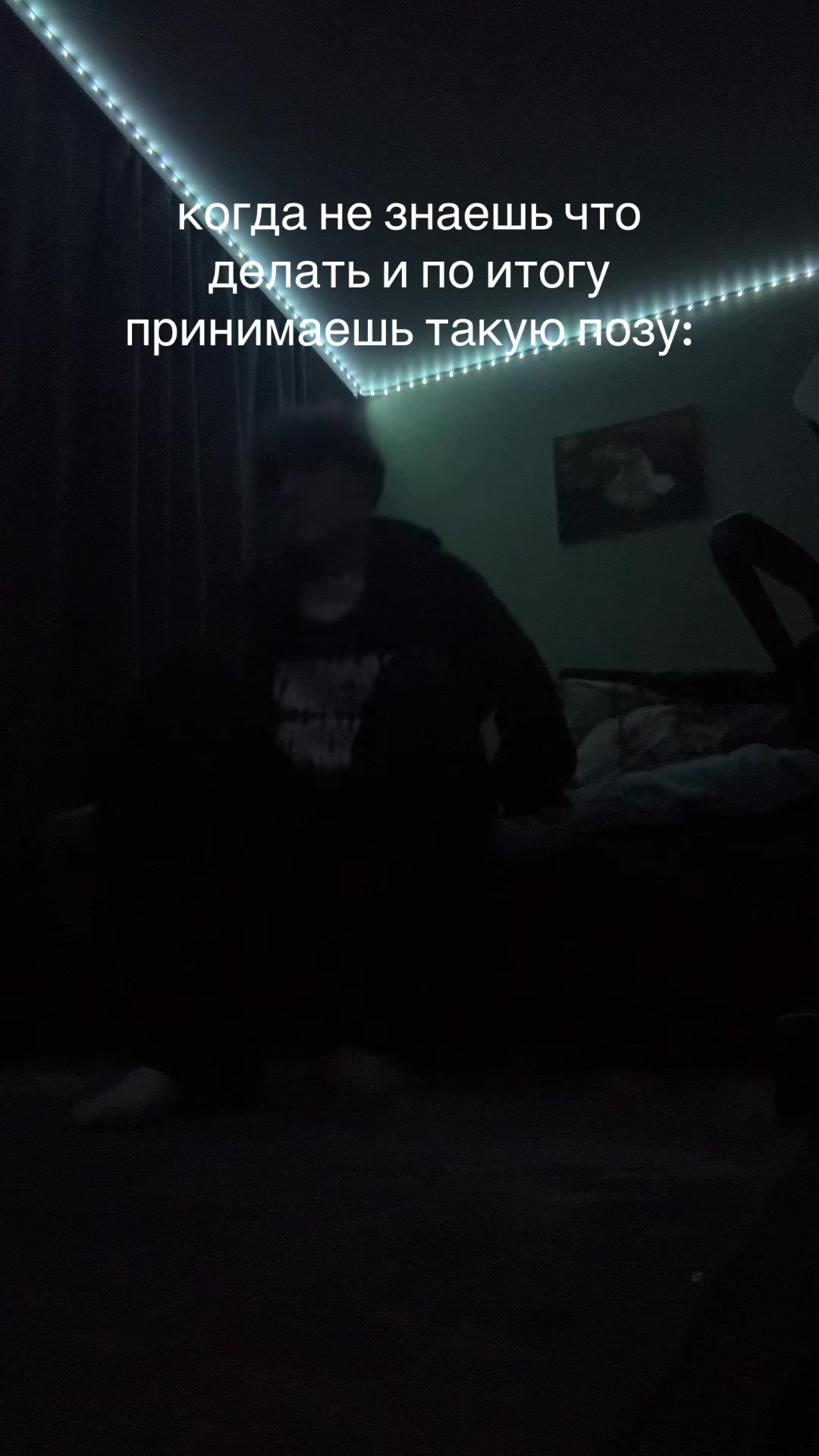 @zalu365