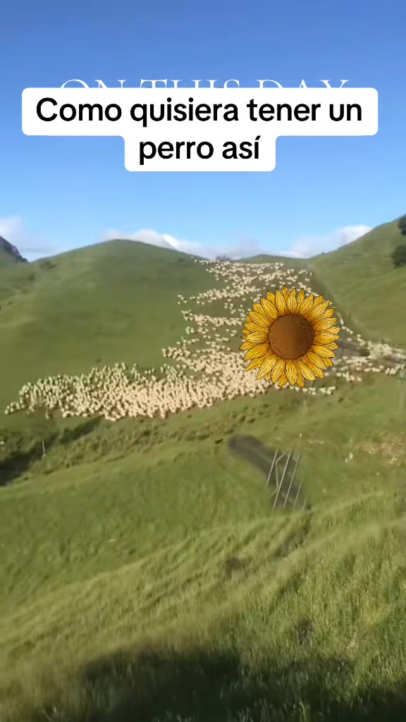@Oscar Monta&ntilde;o