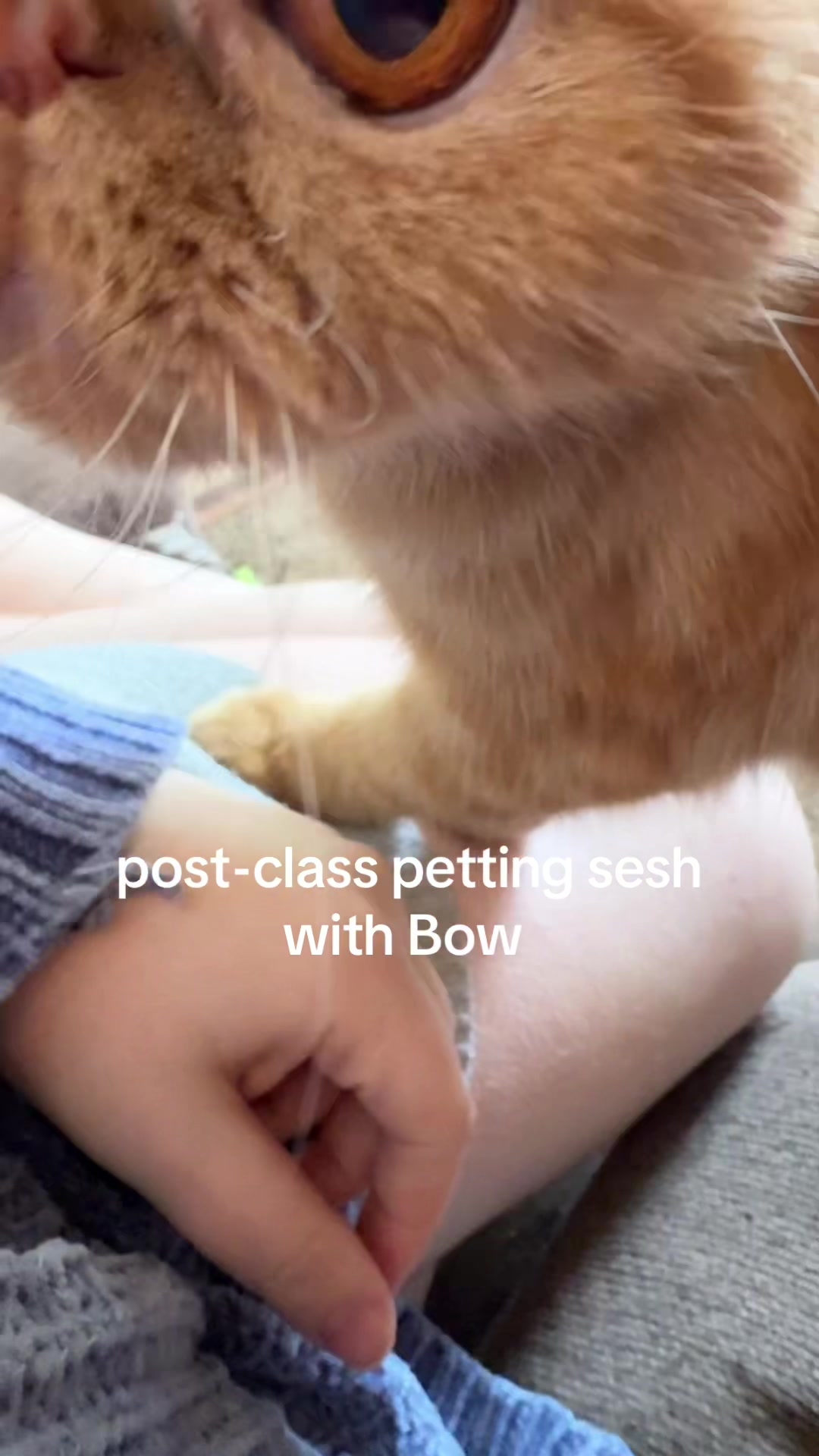 @Ani