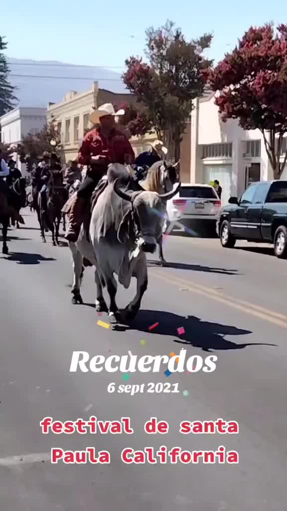 @Perro PAPAYAL
