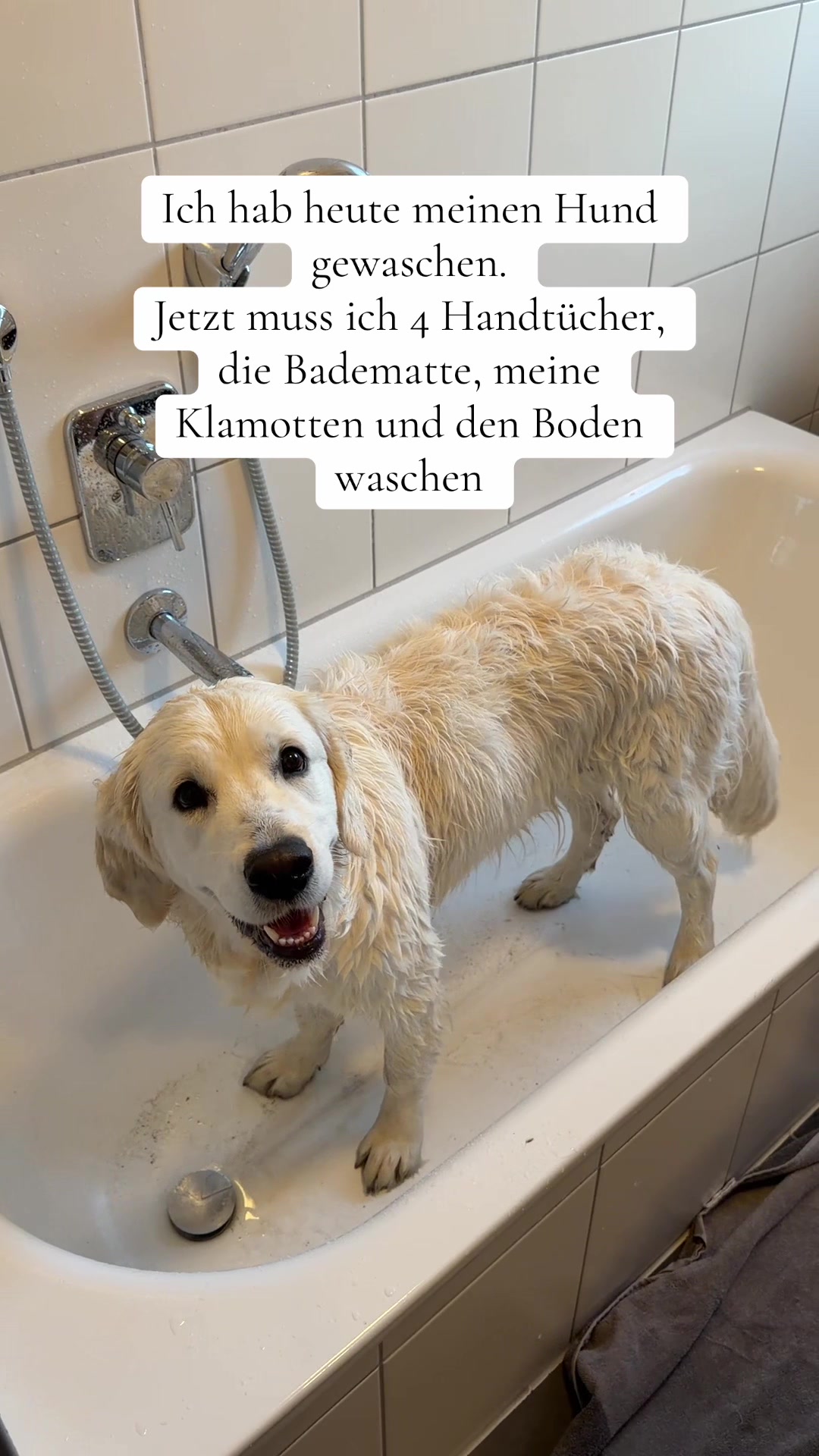 @Miss Ellie The Golden 🤍