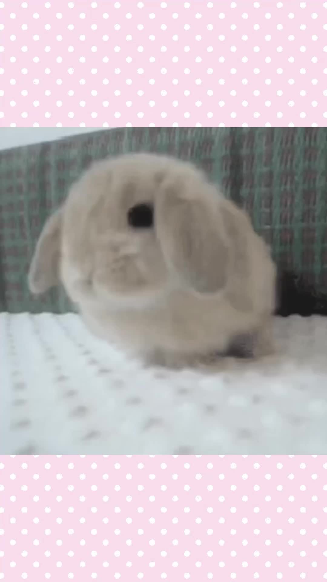 @Ი𐑼