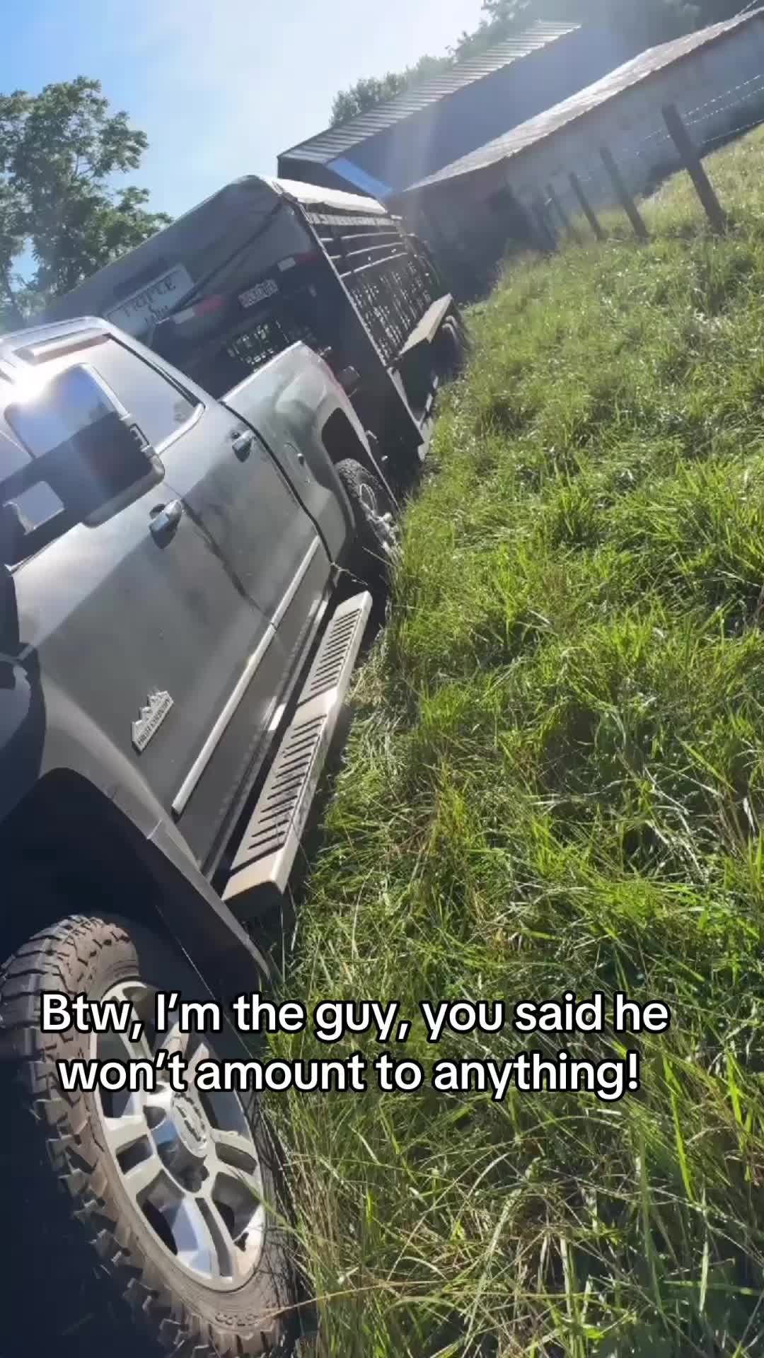 @tripleclivestock