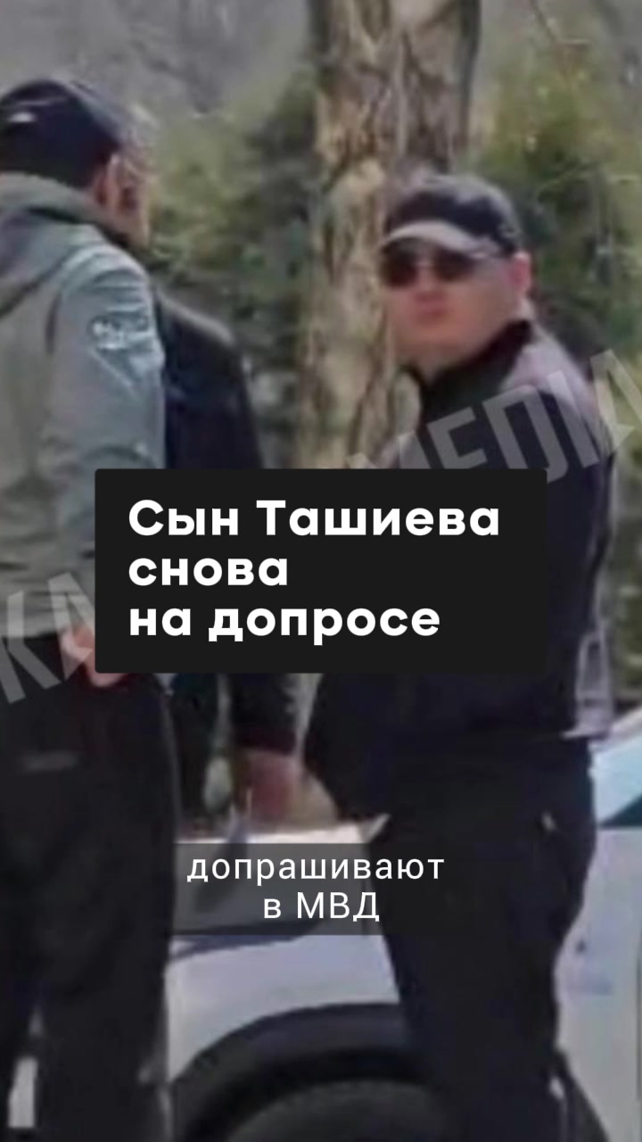 @Kaktus.media