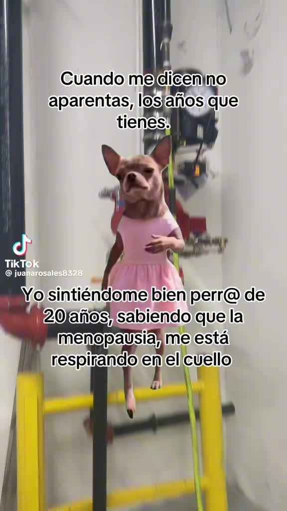 @Vanessa Trinidad