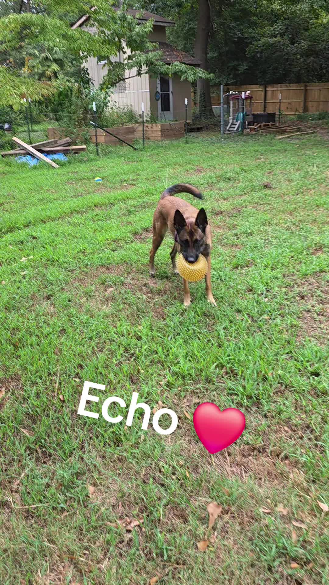@Echo!