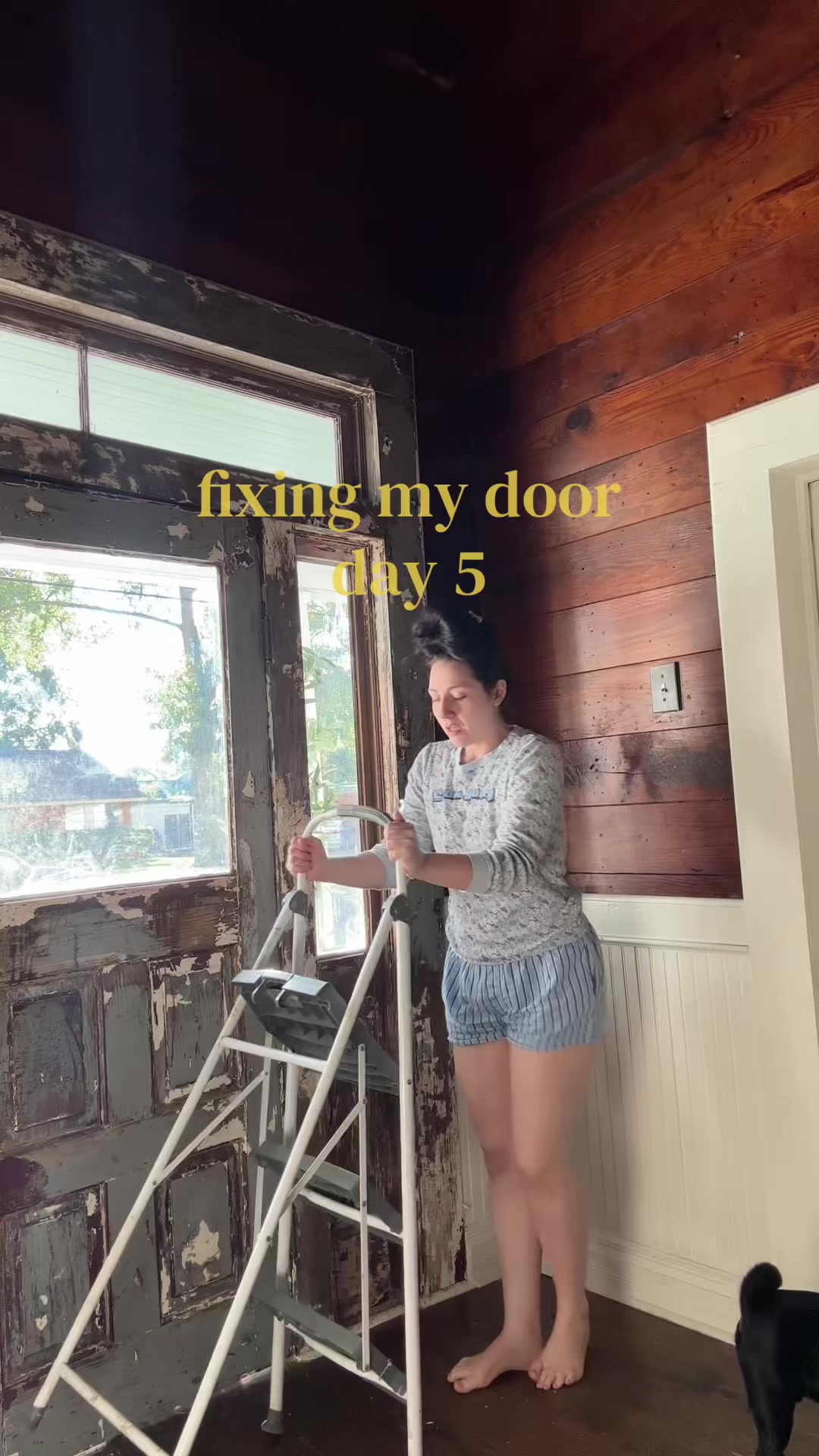 @ashlynn