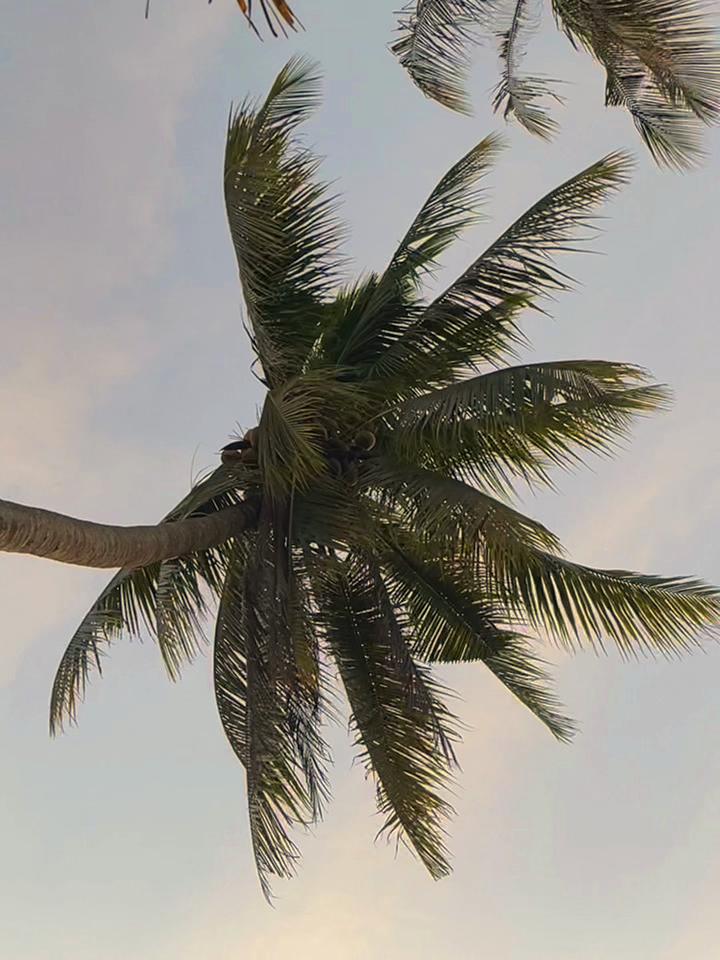 @Qiiii_