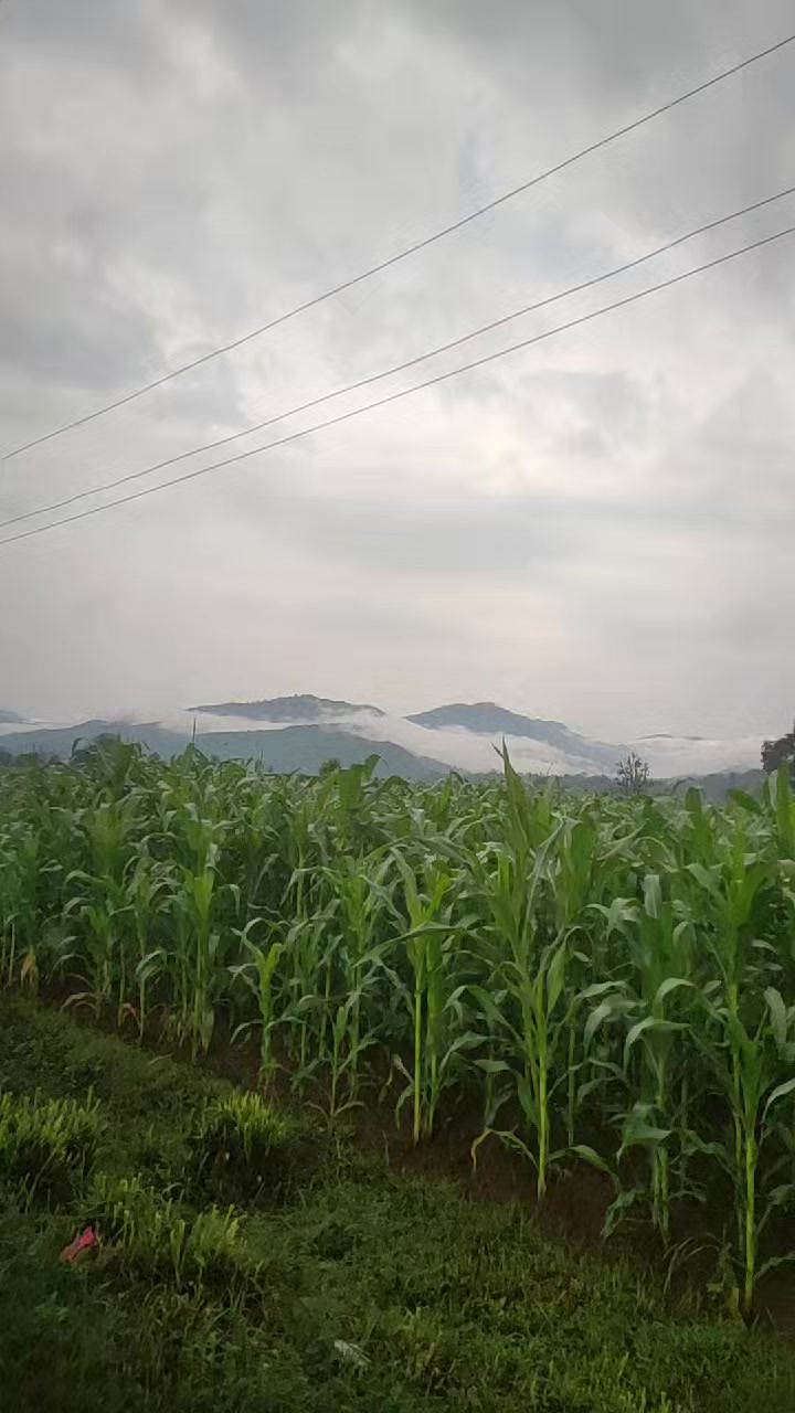 @sarmilathapa251