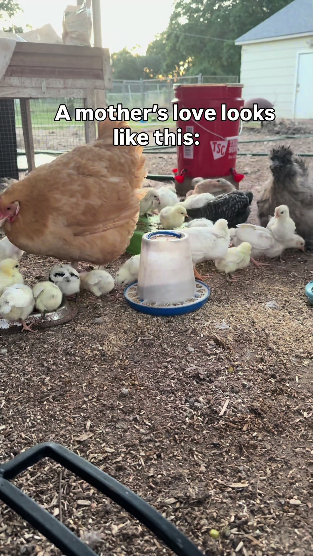 @The Real Estate Chick