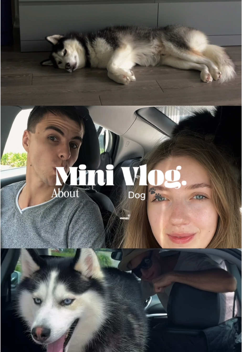 @Husky_mom