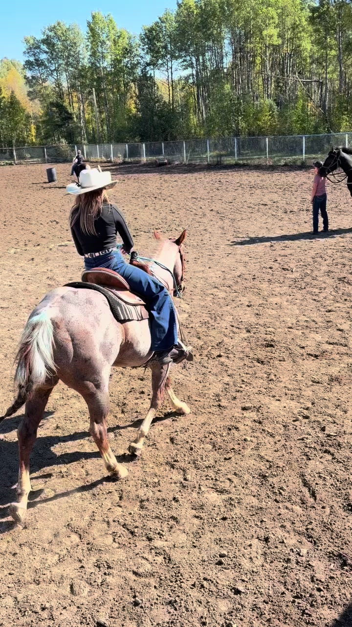 @🛢️Shelby, Shorty and Louis🛢️