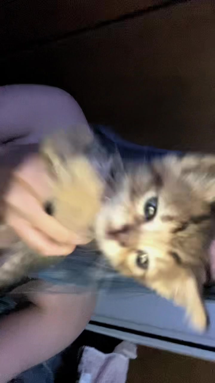 @Hamster_boy
