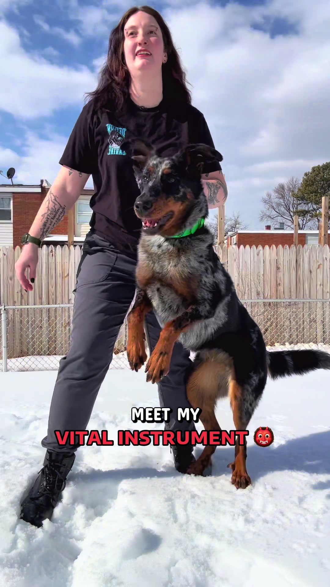 @valkyrie.the.beauceron