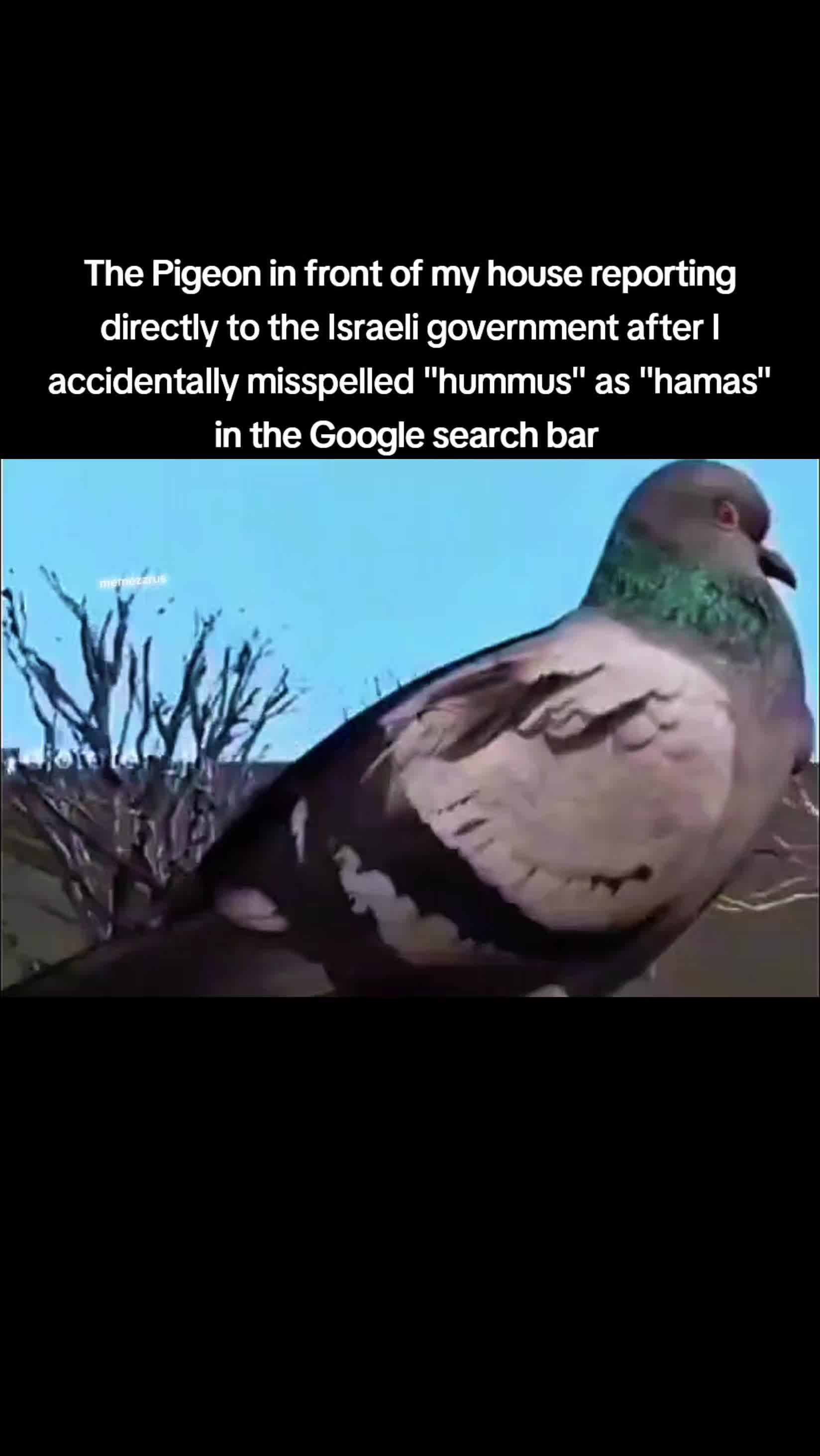 @Memezz.R.Us
