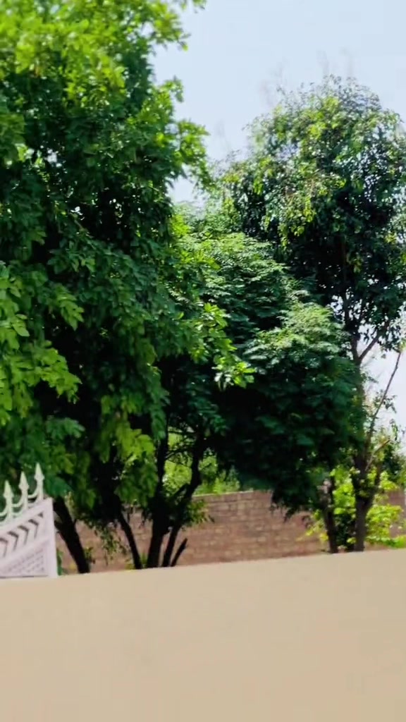 @چوھدری فہد راجپوت