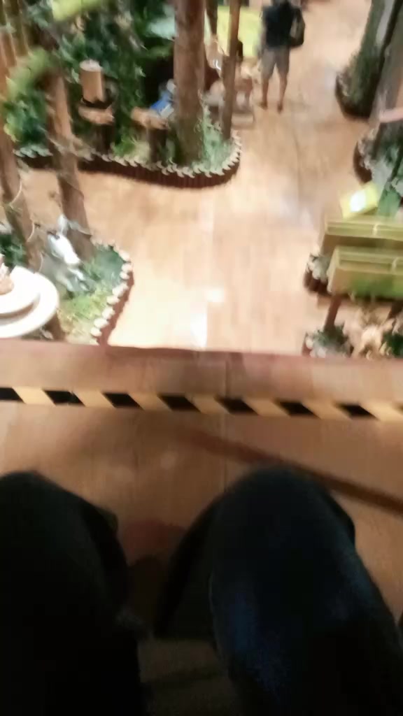 @aryani