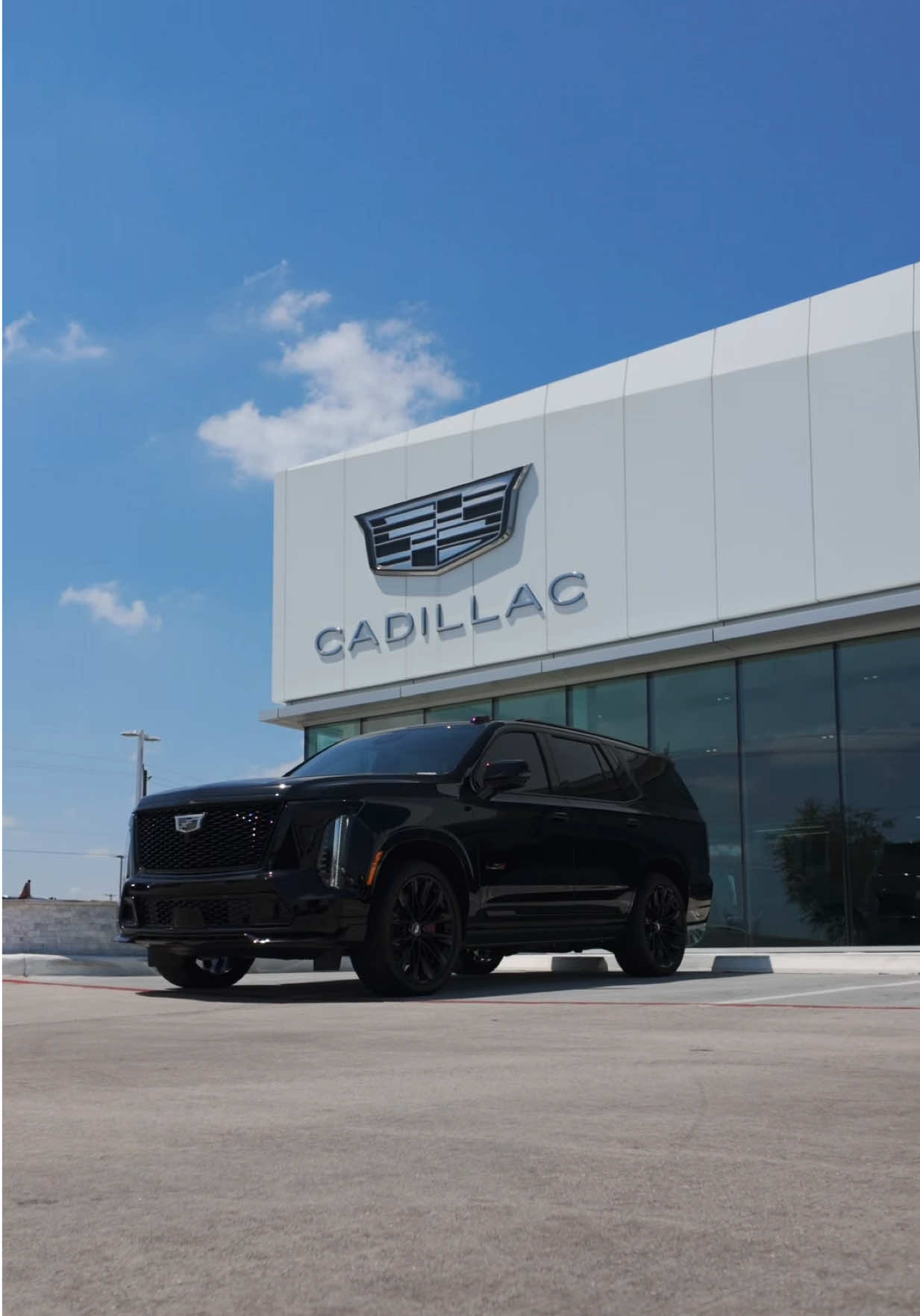 @Cadillac from Ty