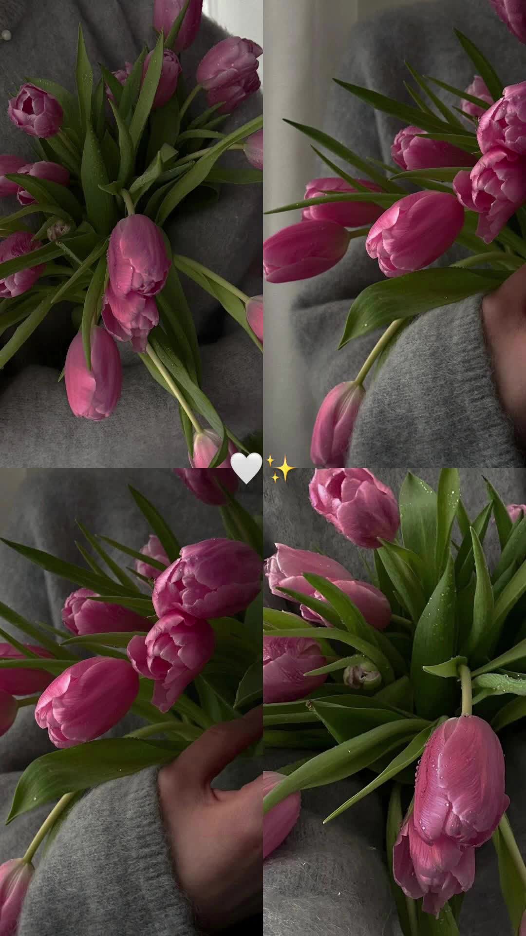 @𓆩𝐑⁰¹⁹𓆪
