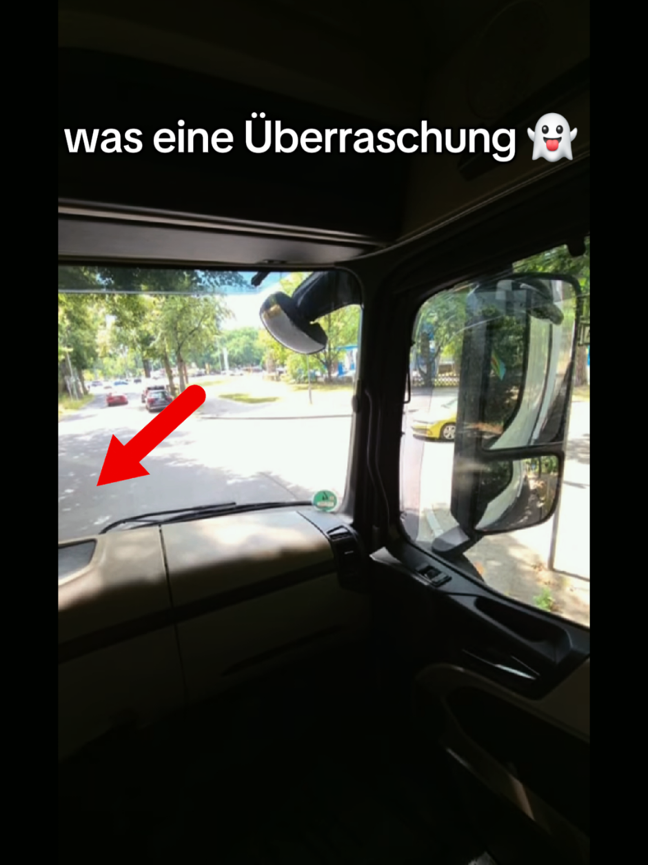 @Lkw Fahrlehrer Sino