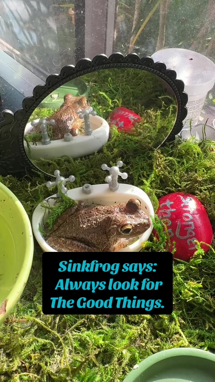 @originalSinkfrog