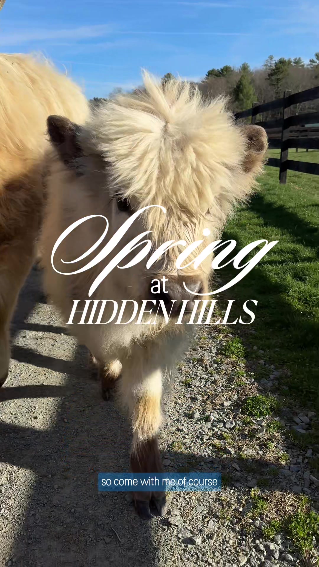 @hiddenhillsequestrian