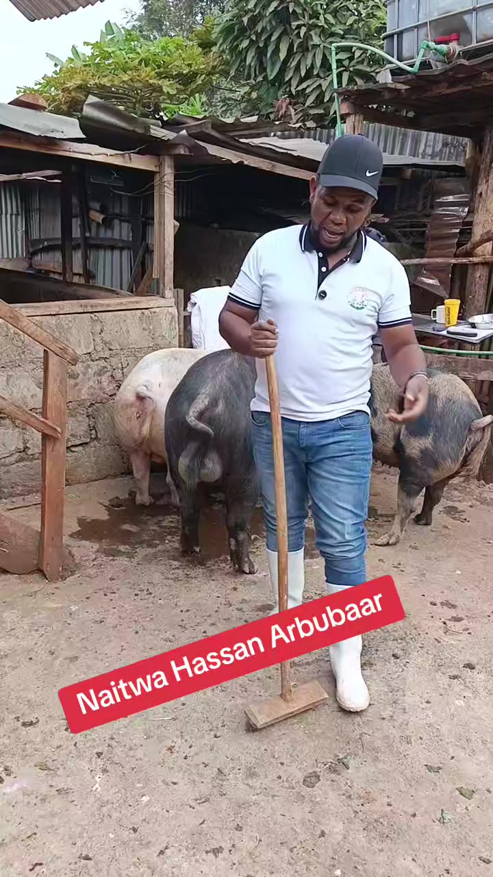 @Pigbreeder
