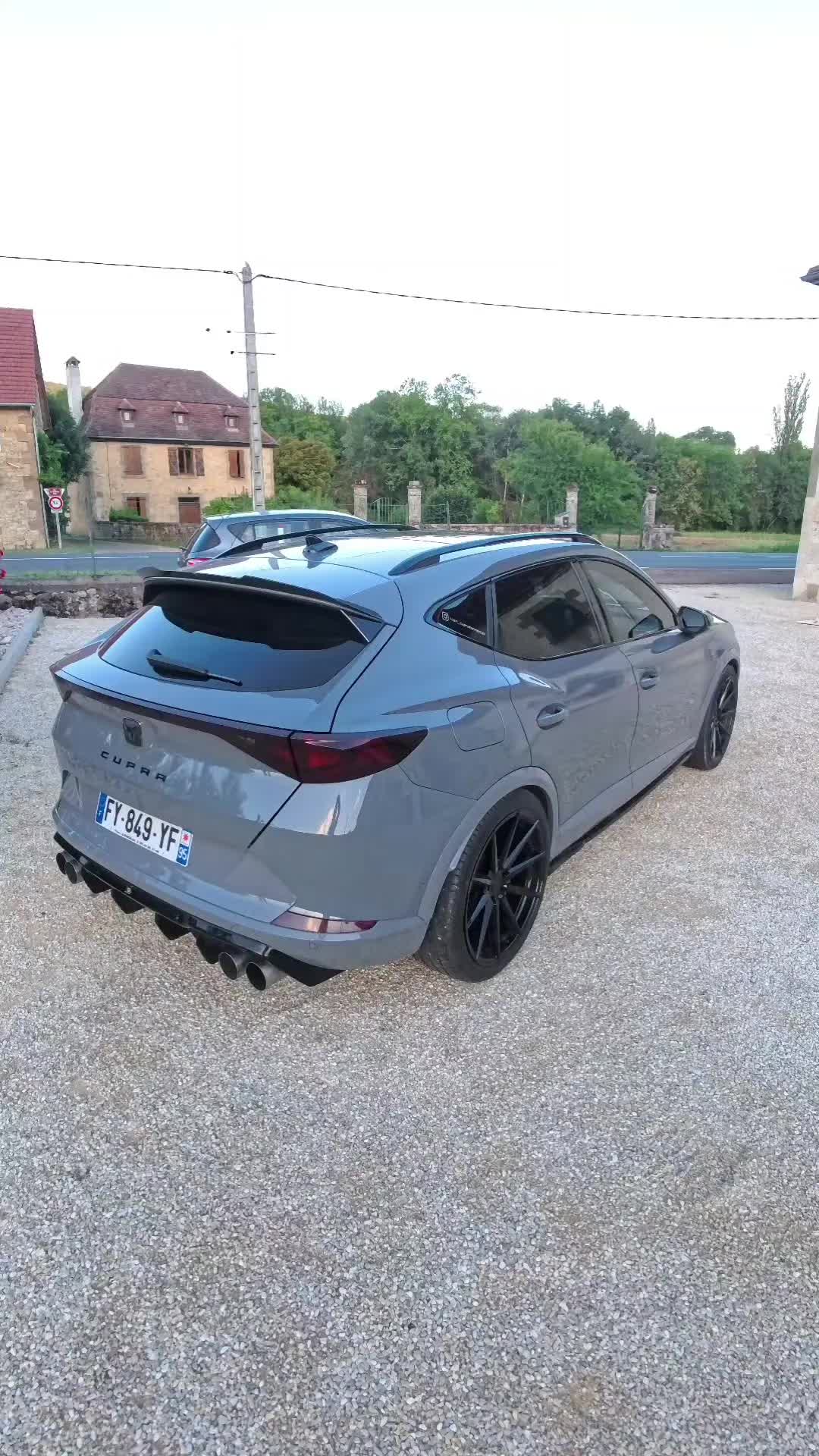 @LionCuprAFormentor