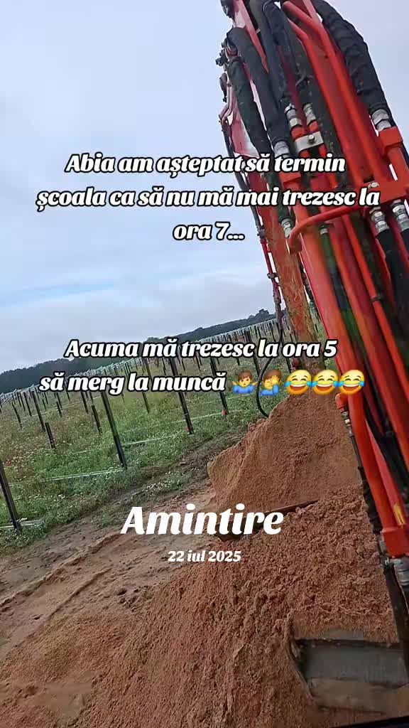@Alex🇷🇴🇷🇴