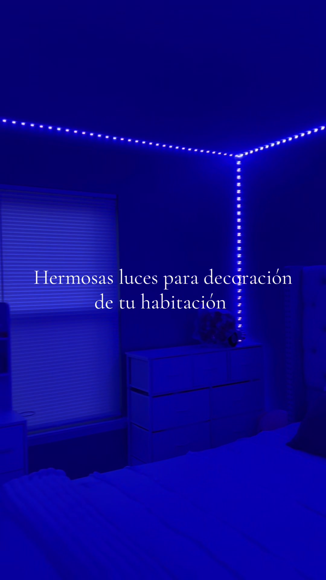 @noticias.honduras504