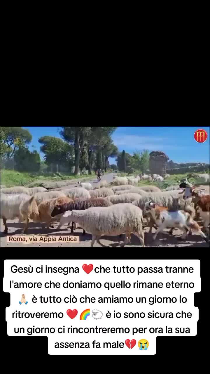 @matildelaurent14