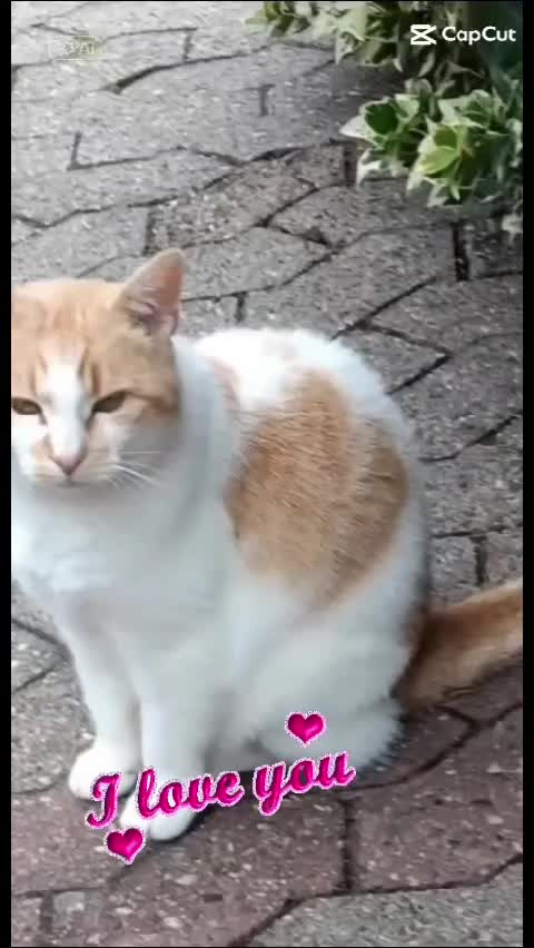 @Babsi
