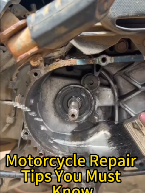 @auto parts