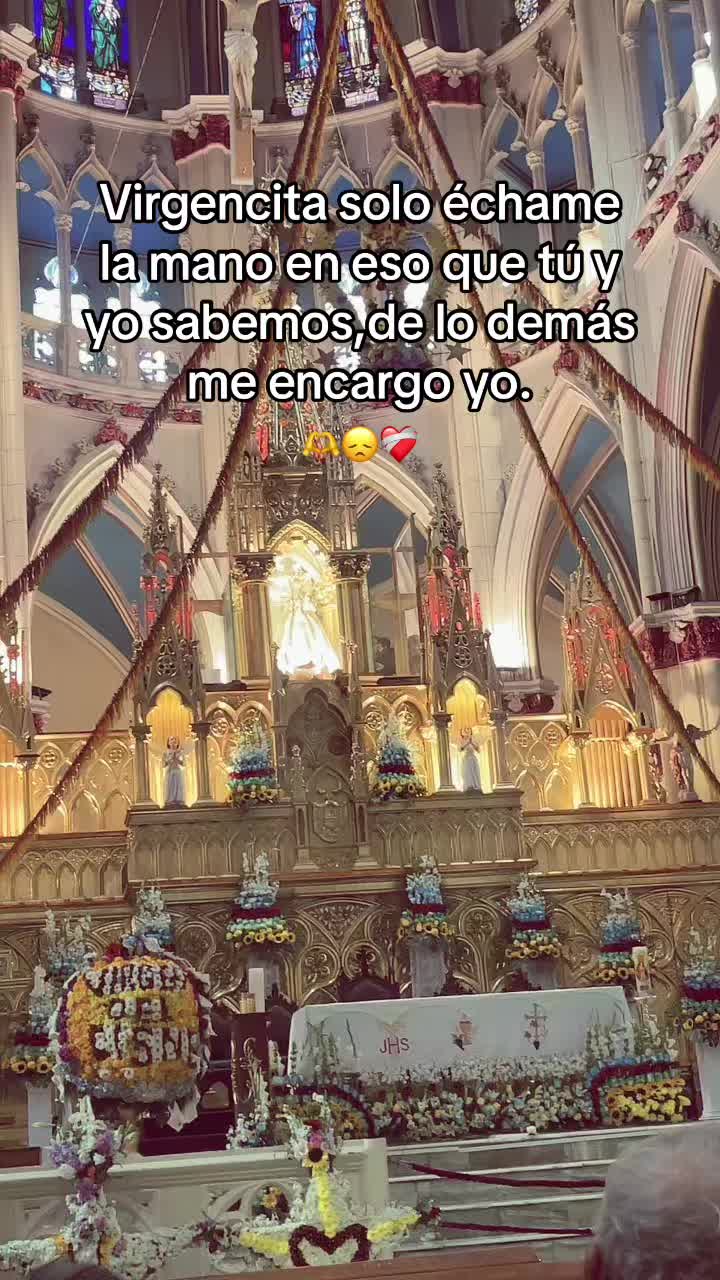 @Ale❤️