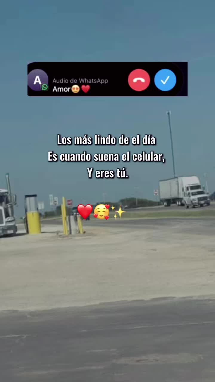 @Frank 🕷️🐥