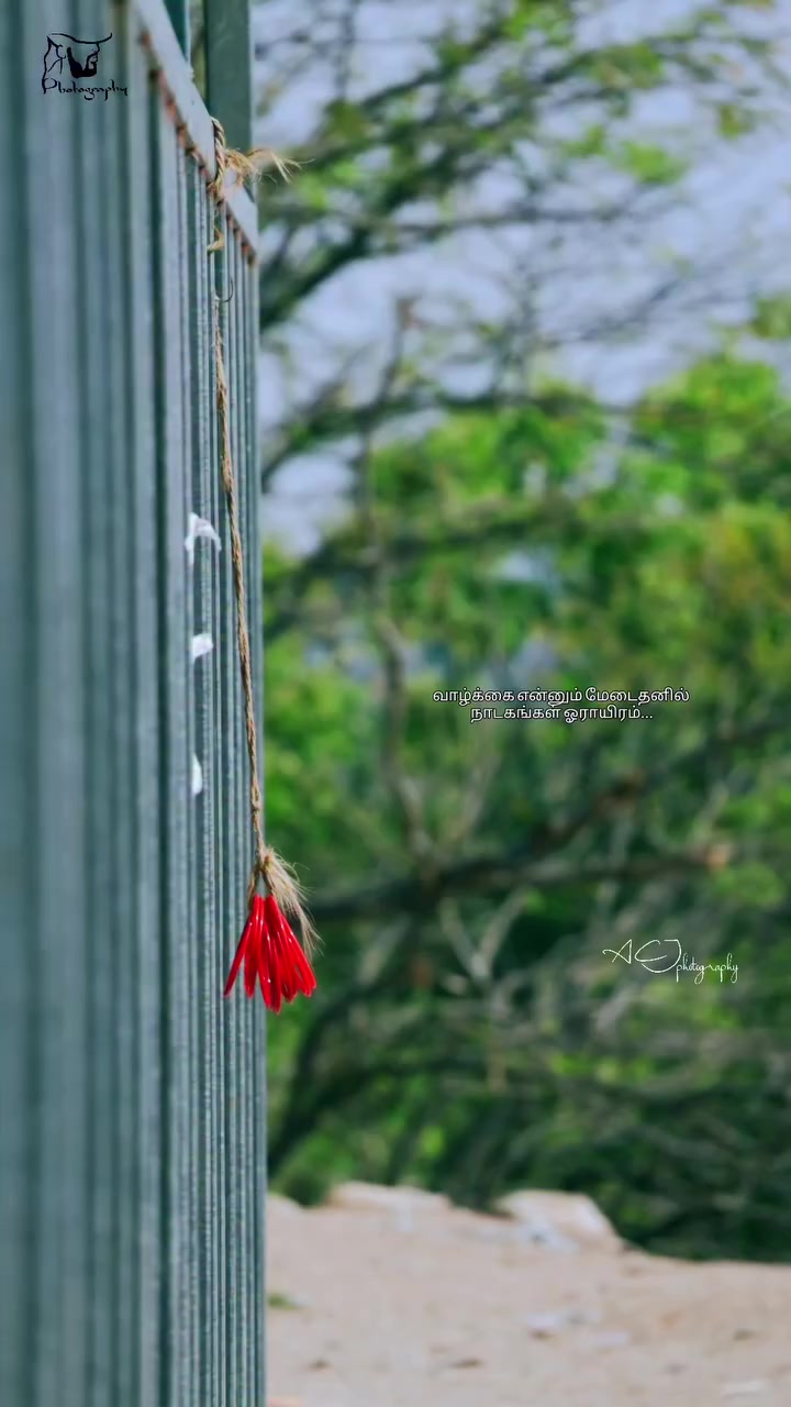 @வலியின் ராஜா💔