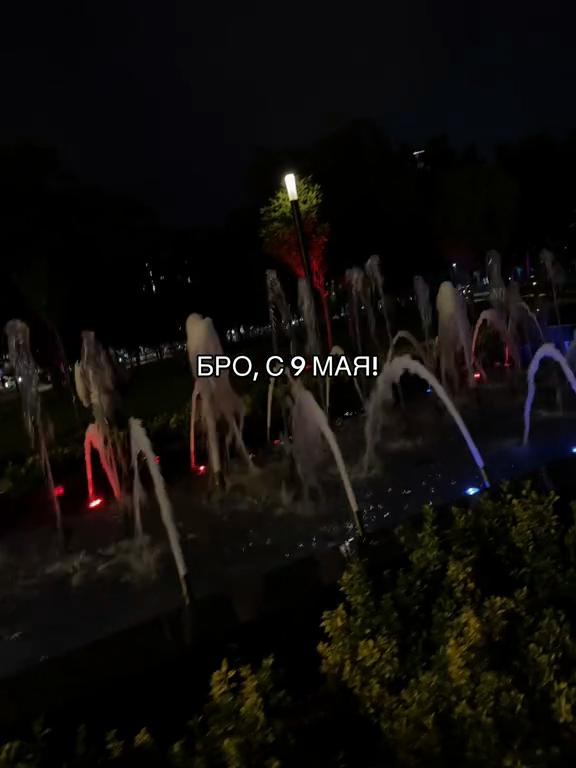 @Мёртвые крылья