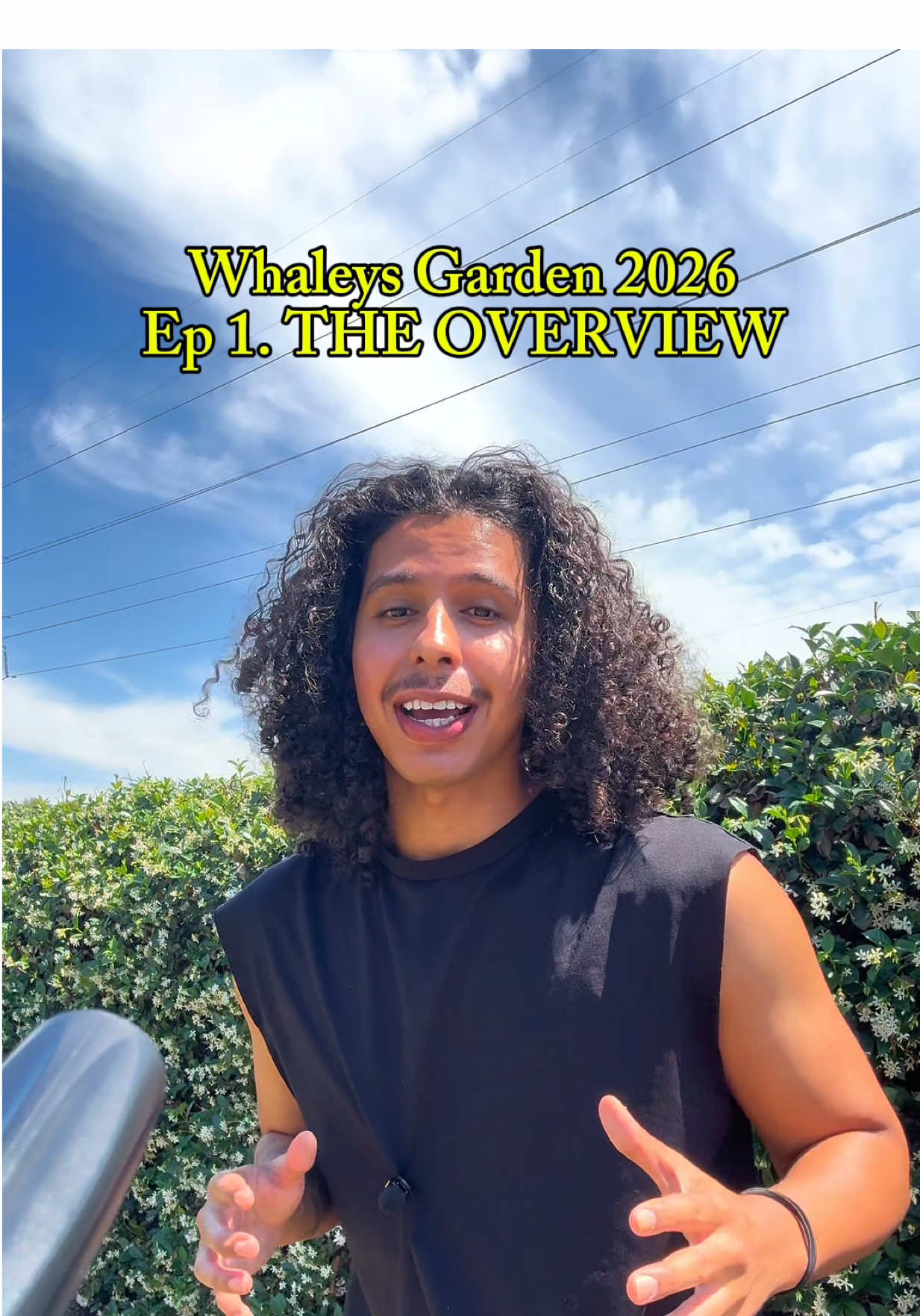 @whaleyswellness