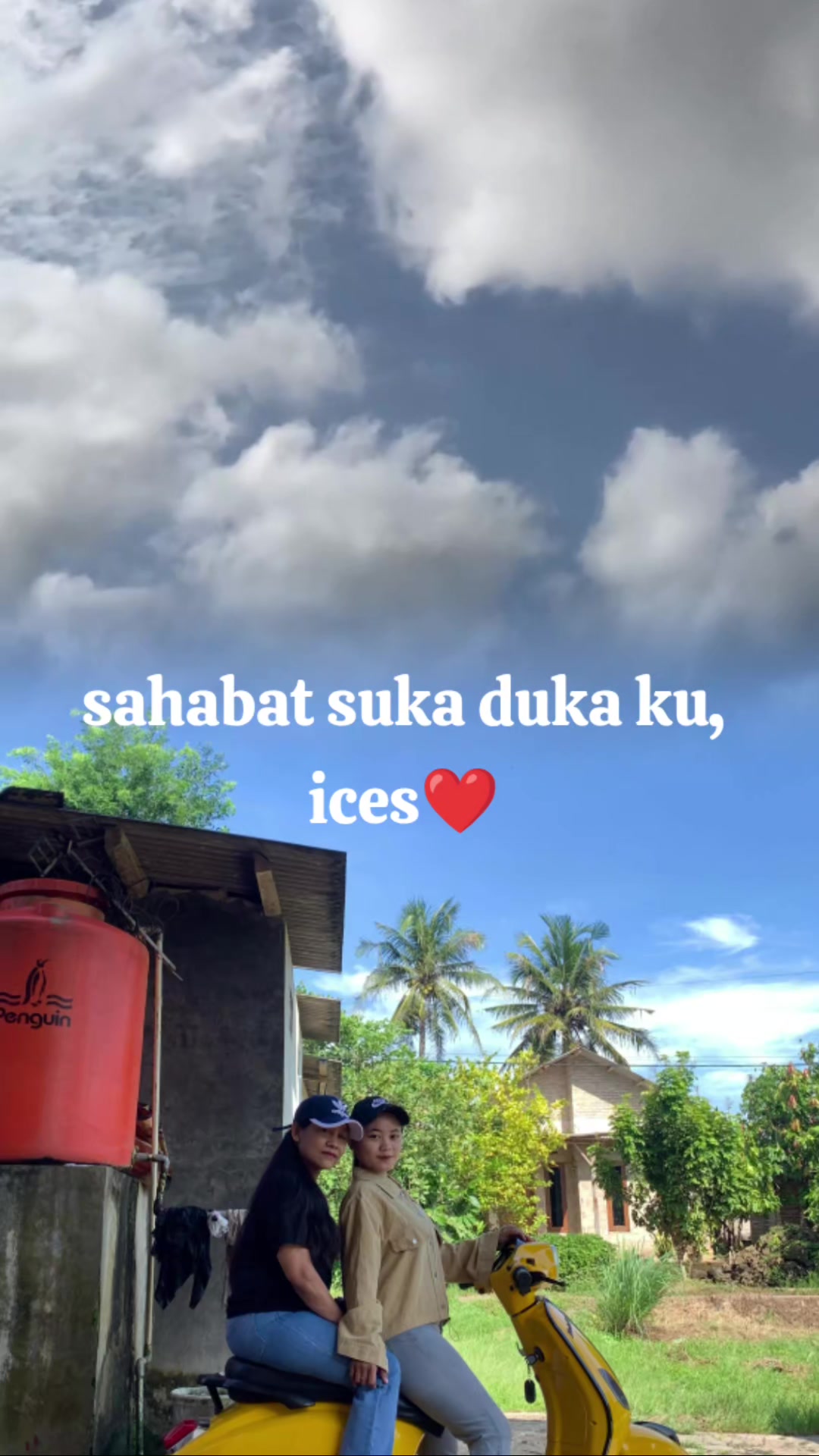 @mui mui ๐ญ๐ฐ