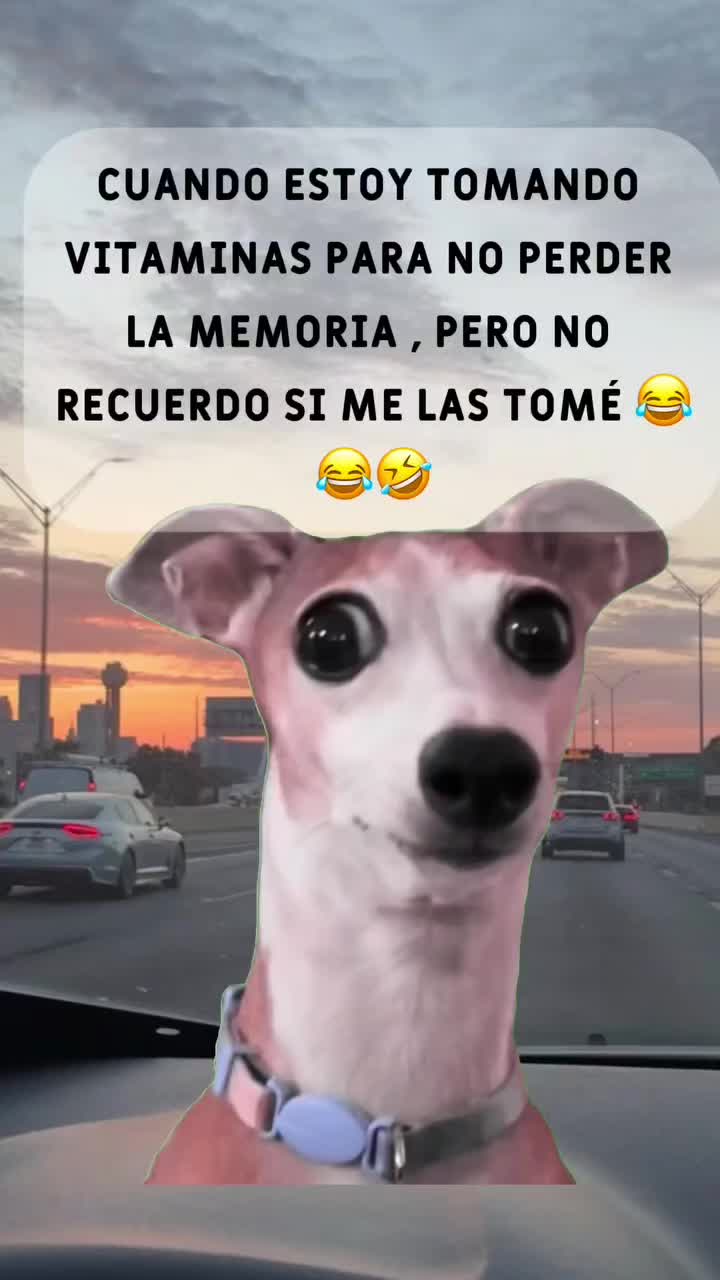 @Gaona Juanfer