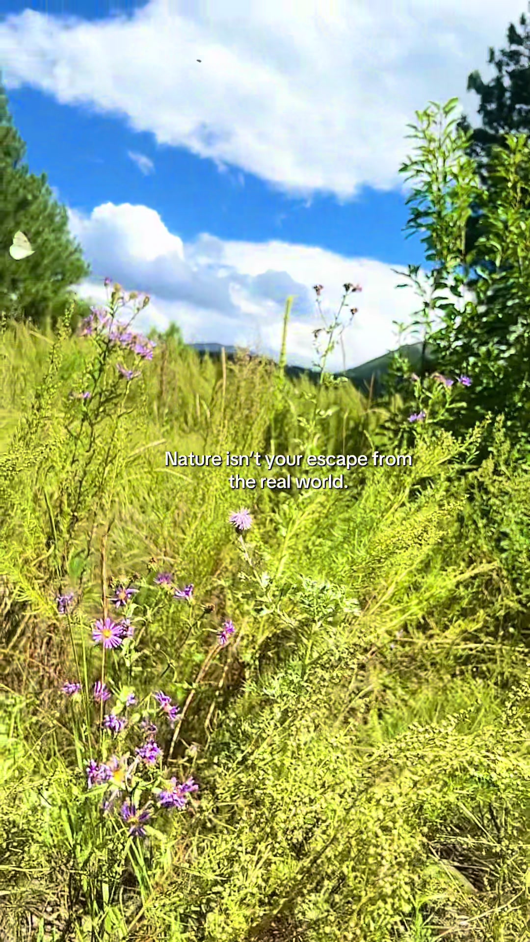 @Jasmin | A Rooted Life