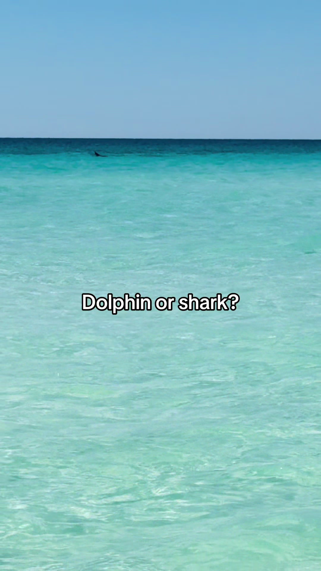@All Things Emerald Coast