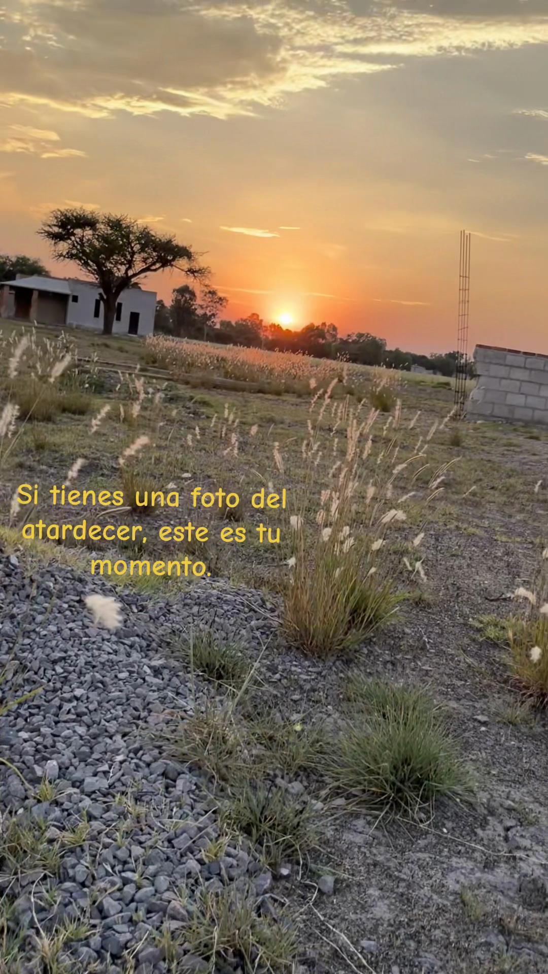 @Giselle