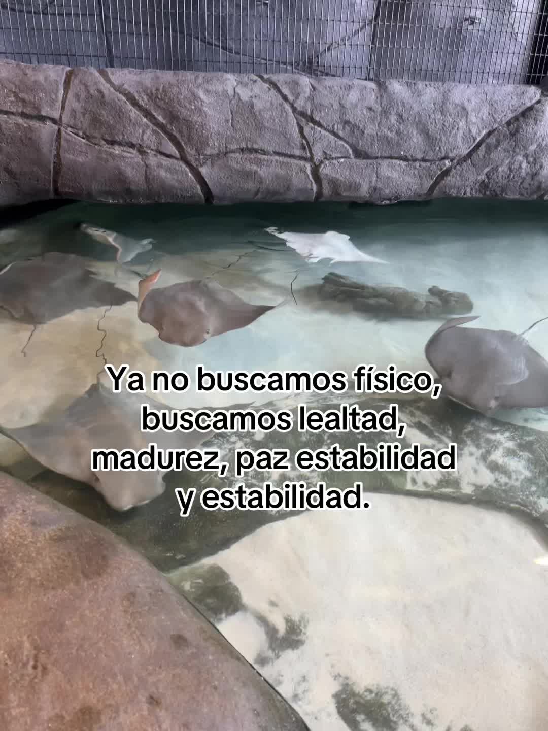 @usuarionomeconoces