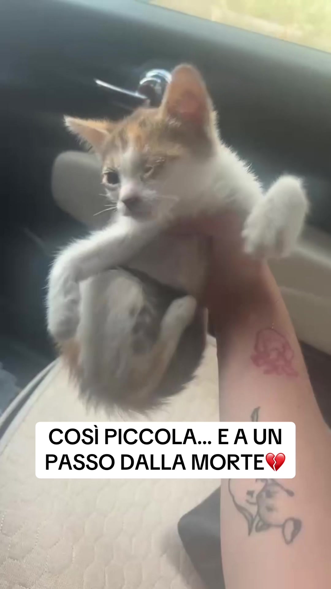 @Jessica Vecchio